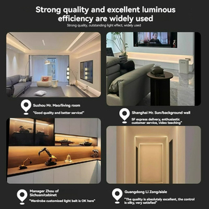 COB <span class=keywords><strong>LED</strong></span> dây ánh sáng 12V <span class=keywords><strong>RGB</strong></span> điều khiển từ xa cho Poolside vườn con đường trang trí ngoài trời - Product Image 5