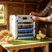 Machine d'incubation automatique d'œufs de poulet en ligne, incubateurs industriels d'œufs pour élevages avicoles
