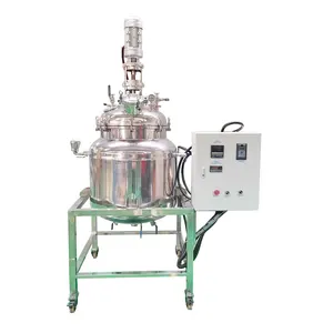 500L Resin Batch Stainless Steel Reactor Industrial Mixing Reactor