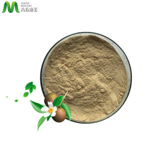 メーカー供給ティーサポニン60% パウダーカメリアオリフェラ - Product Image 5