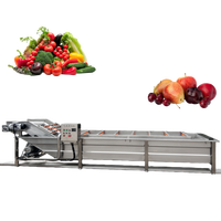 Xinmai CP-300 Commerciële Bubbelreinigingsmachine-Multifunctioneel Voor Fruit En Groenten (Paprika 'S Tomaten Wortelen Avocado 'S)