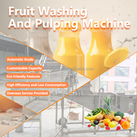 Efficiënte Commerciële Fruitreinigings-En Pulpproductielijn/Volautomatische Fruitreinigings-En Pulpmachine