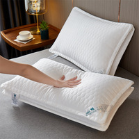 Hôtel cinq étoiles qualité noyau de coton pur coton blanc oreiller large côté oreiller de lit tridimensionnel 1 48x74cm