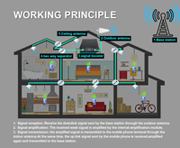 Signalsmith usine bas prix Lte800/Egsm900Mhz répéteur de téléphone 4G 5G amplificateur de Signal Mobile à Gain élevé répéteur de réseau