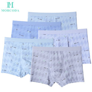 <span class=keywords><strong>2026</strong></span> नए डिजाइन उच्च गुणवत्ता वाले सांस पर्यावरण के अनुकूल एंटी-बैक्टीरियल मिड-राइज त्वरित सूखे पुरुषों नायलॉन बॉक्सर ब्रिकी ठोस मिश्रण रंग - Product Image 2