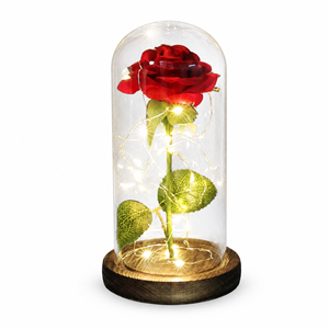 <span class=keywords><strong>La</strong></span> <span class=keywords><strong>Bella</strong></span> y <span class=keywords><strong>la</strong></span> <span class=keywords><strong>Bestia</strong></span>, Rosa LED Encantada, Rosa Galáctica Eterna con Luces en Cúpula, Regalo para Navidad, Dí<span class=keywords><strong>a</strong></span> de <span class=keywords><strong>la</strong></span> Madre, San Valentín - Product Image 1