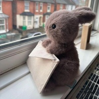 Peluche Lapin Personnalisée en Velours avec Enveloppe, Jouet Anti-Stress en Coton PP et Maille, Cadeau Adorable pour Bébés de 0 à 24 Mois