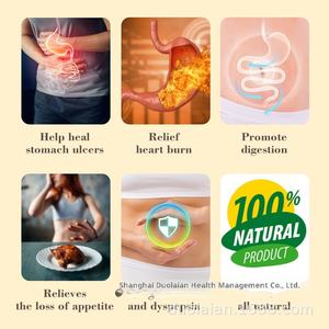 Tisane Biologique Confort Gastrique 30 Sachets - Mélange Naturel pour le Bien-Être Digestif (Thé en Sachet) - Product Image 4