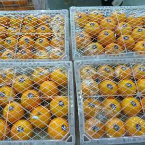 Nueva cosecha de fruta fresca de naranjas mandarinas de ombligo chino para venta al por mayor - Product Image 5