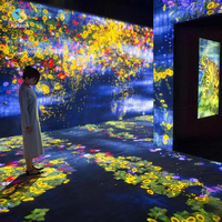 Jeu de projection interactive holographique 3D sur mur/sol, salle immersive, projecteur AR interactif