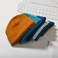 Gorro de Algodón con Bordado Personalizado al por Mayor, Gorro de Invierno Cálido y Suave, Unisex, Estilo Urbano, Tejido, para Exteriores, Venta Directa de Fábrica OEM