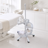 Support de lampe loupe de salon de beauté moderne compatible SMY Source de lumière LED avec corps en fer et en plastique avec conception de plateau