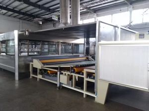 מודרני באיכות גבוהה Taili 304 נירוסטה עור בורסקי תרסיס צבע מכונה תהליך צמח - Product Image 4