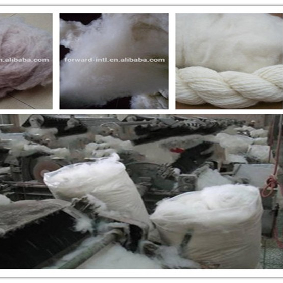 Кардное волокно овечьей шерсти