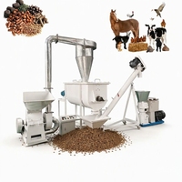 Nouvelle Ligne de Production Automatique de Granulés d'Aliments pour Volailles, Capacité 100 kg/h, Machine à Granulés d'Aliments pour Poulets 220V