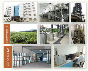 <span class=keywords><strong>Cristaux</strong></span> <span class=keywords><strong>de</strong></span> menthol <span class=keywords><strong>de</strong></span> qualité industrielle, fabricant chinois, menthol rafraîchissant, L-menthol, <span class=keywords><strong>cristaux</strong></span> <span class=keywords><strong>de</strong></span> menthol à prix compétitif, menthol CAS 89-78-1 - Product Image 6