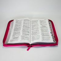 Bible chrétienne personnalisée avec onglets de séparation – Édition Nkjv des Bonnes Nouvelles