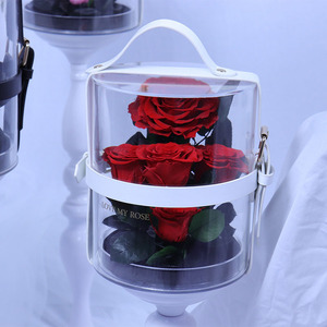 Fiore eterno giardino segreto rosa acrilico trasparente 214 conservato di san valentino regalo di natale laurea nuovo anno pasqua - Product Image 6