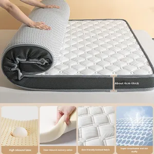 Oem Odm <b>Memory</b> <b>Foam</b> Cooling Medium Mattress Cover Soft <b>Cushion</b> for Hotel Dormitory Student Bed <b>Foam</b> Mattress Cover - Product Image 5