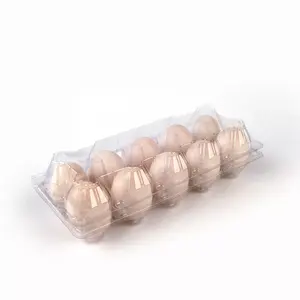 China Manufacturer Recyclable PET Egg Tray For Home Kitchen