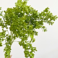 Kunstplant kleine monstera bladplant decoratie voor thuis, bruiloft, hotel, bloemstukken en accessoires