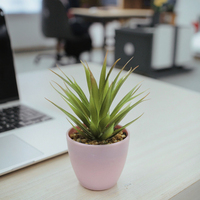 Plante succulente artificielle en plastique haute simulation, écologique, pour la maison, le jardin, en pot, pour l'intérieur, le bureau, la table