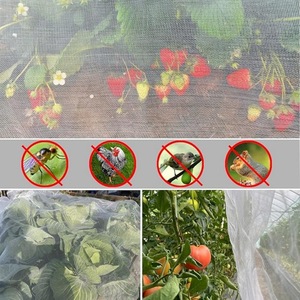 Film plastique épaissi anti-insectes DaringFish, couverture transparente pour fleurs et arbres fruitiers, sac de protection des plantes - Product Image 2