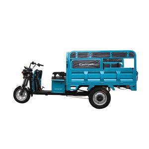 Tuk-Tuk Pieghevole Elettrico a 3 Ruote Triciclo per Passeggeri e Motociclo da Carico per Adulti per Uso Agricolo - Product Image 6