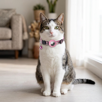 Collier pour chat en PU réfléchissant avec étui AirTag, réglable, pour le suivi des animaux, avec clochette, pour usage intérieur et extérieur