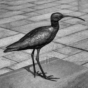 Park Decoratie Antiek Groot Messing Dier Staue Bronzen Vogel Sculpturen Voor Buiten - Product Image 3