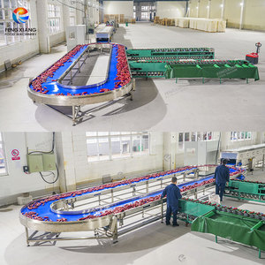 สายการผลิตมันเทศสำหรับใช้ในฟาร์ม เครื่องแช่ มันเทศ ขมิ้น ล้าง อบแห้ง คัดแยก - Product Image 3