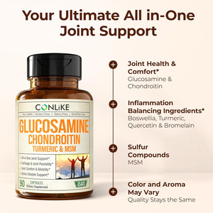 Capsules <span class=keywords><strong>de</strong></span> <span class=keywords><strong>Glucosamine</strong></span>, Chondroïtine, Curcuma et MSM sous Marque Blanche (90 Capsules/flacon) – Complément <span class=keywords><strong>de</strong></span> Soutien Articulaire - Product Image 2