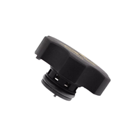 Couvre-réservoir 53330779 68096261AA 68249136AA 68442532AA 53330779 68096261AA 68096261AA 68249136AA 68442532AA pour Jeep ALFA CHRYSLER
