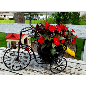 Support de plante en fer chromé de style parisien, tricycle durable, vintage, terrasse, nostalgique, vélo, décoration de jardin à domicile - Product Image 4