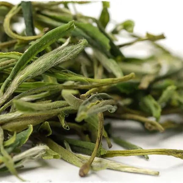Chá verde mao feng super fresco da china, chá verde de alta qualidade