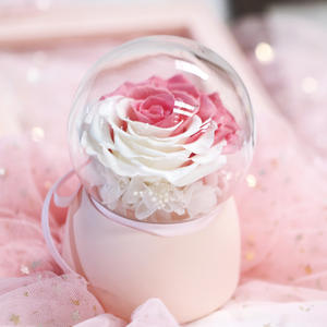 Caja Musical de Cristal con Rosa Preservada de Lujo TC, Decoración Atmosférica, Regalo para el Día de San Valentín, Día de la Madre, Cumpleaños - Product Image 6