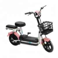 Bicicletas Eléctricas de Largo Alcance de 48V 12/20Ah con Batería de Plomo-Ácido, Personalizadas de Fábrica, para Adultos, de Alta Velocidad