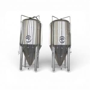 Mejor Precio en Tanque de Fermentación Industrial de Cerveza de Acero Inoxidable de 2Bbl, 3Bbl y 4Bbl con Bomba de Presión, PLC y Motor - Product Image 5