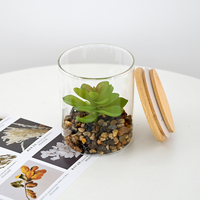 Mini succulente artificielle dans un vase en verre 11 cm, petite plante en pot pour la décoration de bureau, maison moderne et mariage