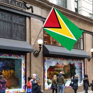 Bandera de Guyana de poliéster de 3x5 pies a precio económico y bandera nacional con dos ojales - Product Image 3
