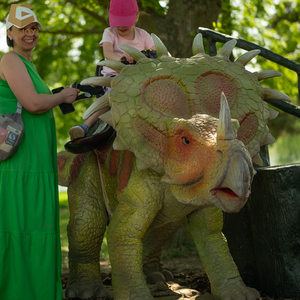 DK-04 Popular Equipo de Dinosaurio T-Rex para Montar, Parque Temático de Dinosaurios Realista para Centros Comerciales - Product Image 3