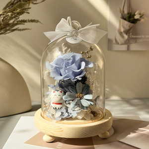 Caja de Regalo para San Valentín, Navidad, Graduación, Rosas Eternas Preservadas en Cúpula de Cristal con Luz LED - Product Image 5