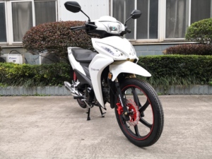 รถมอเตอร์ไซค์คลาสสิคเวฟคับ Fast Rider รุ่นฮอตเซลล์ 110cc 125cc แบบอันเดอร์โบน คาร์บูเรเตอร์ ความเร็วเกิน 80 กม./ชม. สำหรับผู้ใหญ่ ส่งตรงจากโรงงาน - Product Image 4