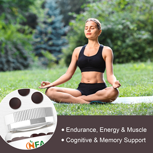 High Quality 10-IN-1 <b>Blend</b> Blueberry Flavor Mushroom Gummies Support Calm Mood & Relaxation Immune Support - Product Image 5