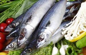 سمك الماكريل الياباني المجمد WR سمك فيليه سمك مجمد - Product Image 6