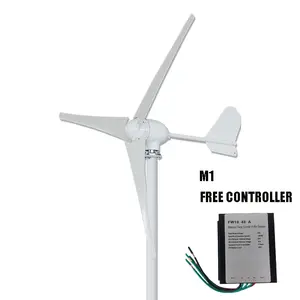Turbine éolienne personnalisée 48v à axe horizontal 3000w, mini turbine éolienne de puissance, générateur