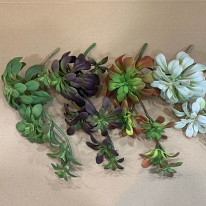 Di alta qualità sensazione di tocco reale naturale decorazione di colore grezzo finto succulenta pianta artificiale verde all'ingrosso ZR5028 - Product Image 5