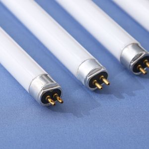 40 Wát 1200 mét T12 <span class=keywords><strong>UV</strong></span> Đèn UVA 340nm đèn thủy tinh mô phỏng ánh nắng mặt trời cho khách sạn Made Trung Quốc DC cung cấp điện G5 loại cơ sở <span class=keywords><strong>UV</strong></span> chữa - Product Image 6