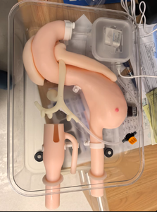 Modelo de Entrenamiento para Cirugía de Gastroscopia, Operación ERCP, Práctica de Duodenoscopia, Posición Prona (Sin Cabeza) - Product Image 3