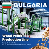 RICHI ATEX Machines à granulés de bois - Ligne de production de granulés de bois professionnelle haute performance 5-6 T/H pour la Bulgarie, granulés de 6-12 mm